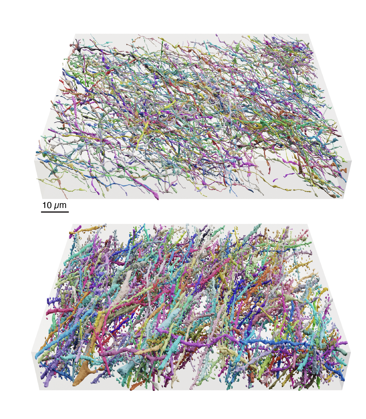LICONN1-RenderingsFinal