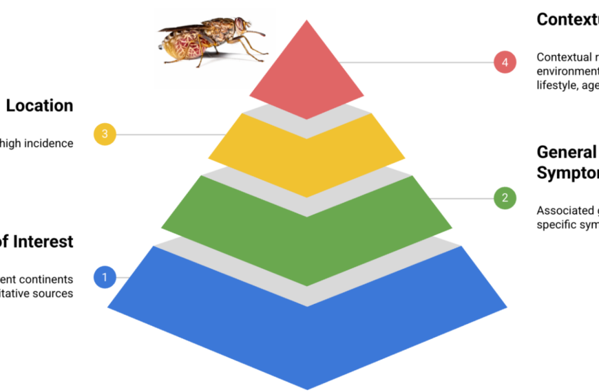 Пирамида факторов риска, симптомов и локаций для тропических заболеваний.