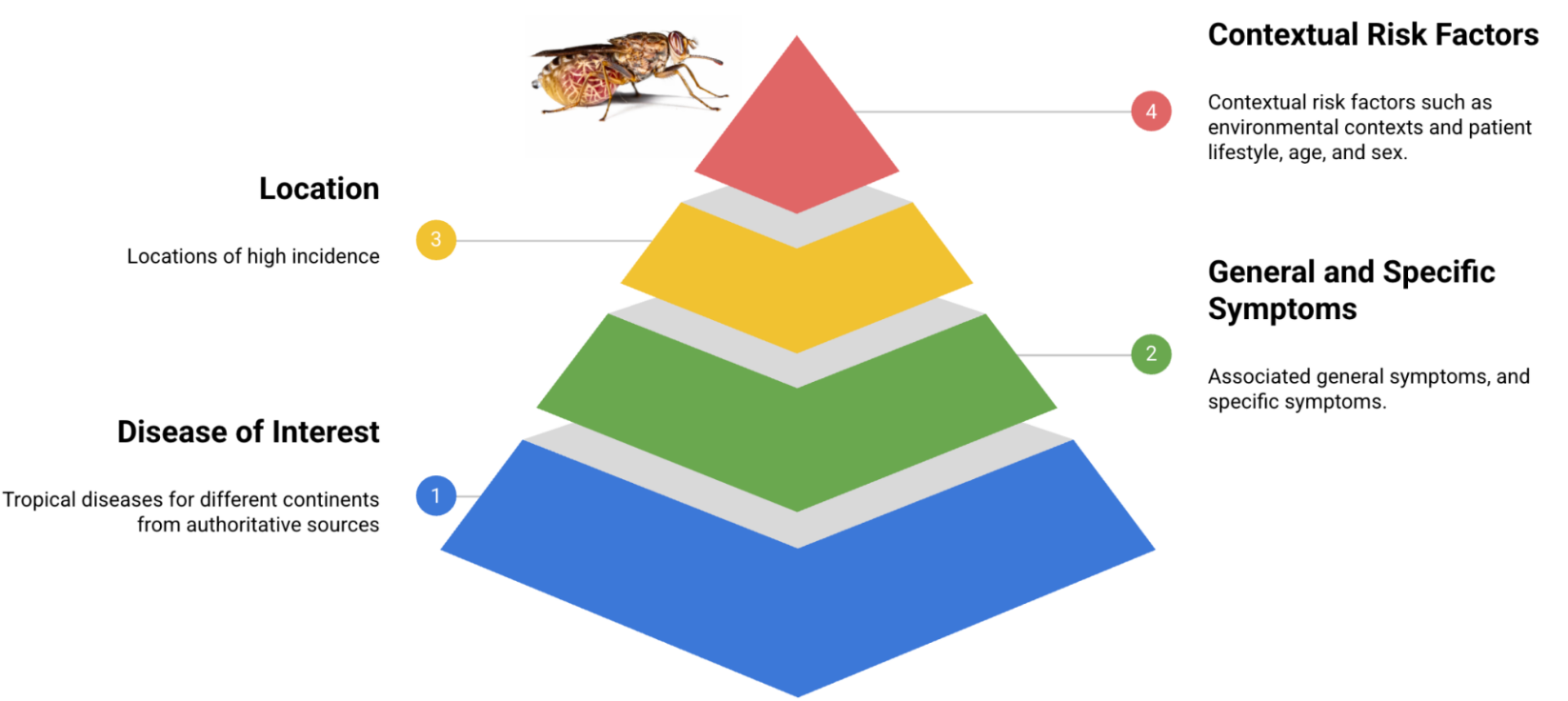 Сравнительный анализ программ магистратуры в области здравоохранения для глобального здравоохранения 7 Пирамида факторов риска, симптомов и локаций для тропических заболеваний.