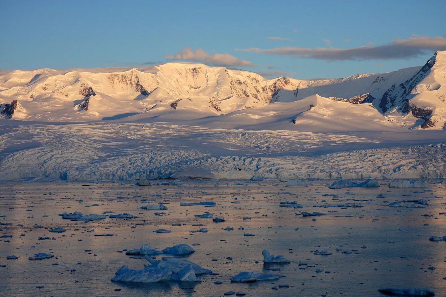 c33129b74209e9b3ebbc2a566cb04ffb