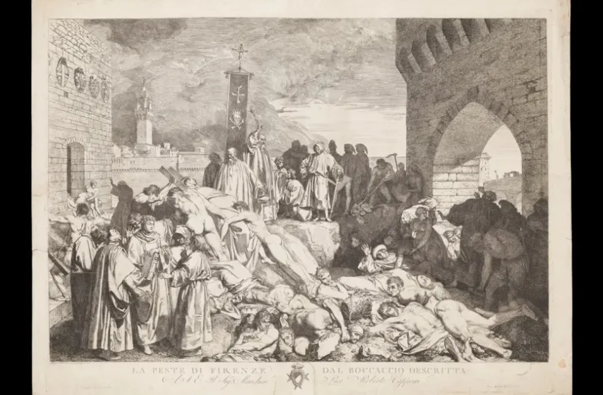 Вулканический пепел, возможно, способствовал распространению Черной смерти в Европе