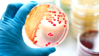 860_main_single_celled_world.ПНГ