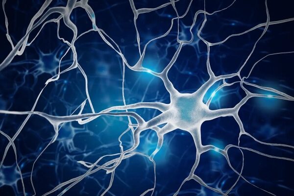 cafcf3971c9e69d5d402c5dd8e8cea97