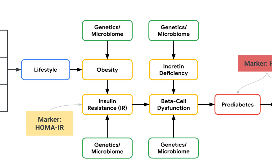 Диаграмма путей развития диабета 2 типа: образ жизни, генетика, инсулинорезистентность.