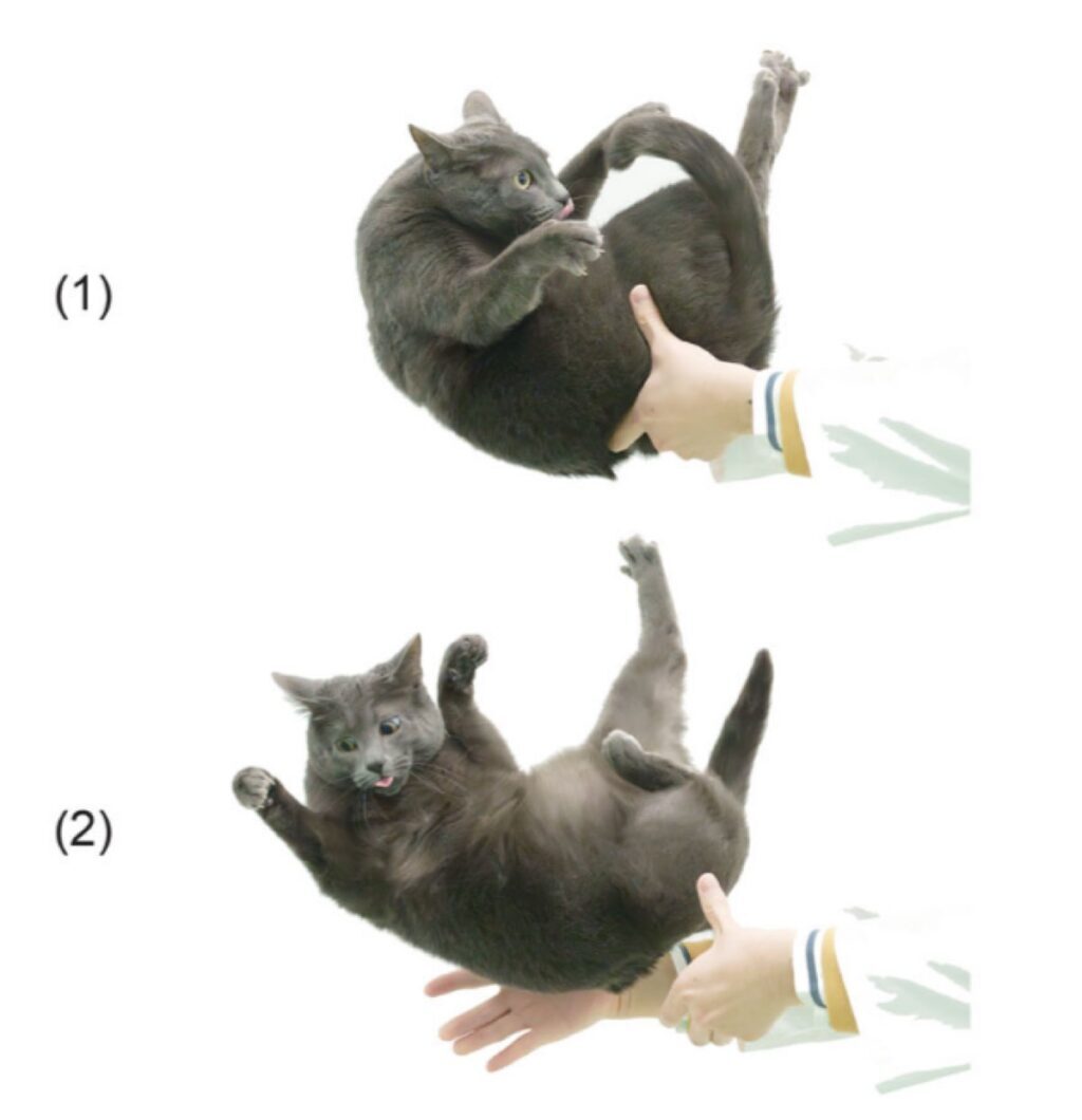 d406f7d45c4c8ce21ecb0b37fb35ba38