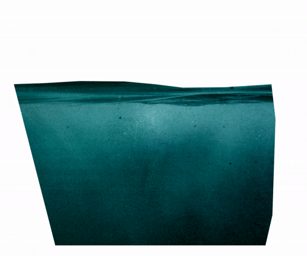 d40a388921c791718ee316212638a95d