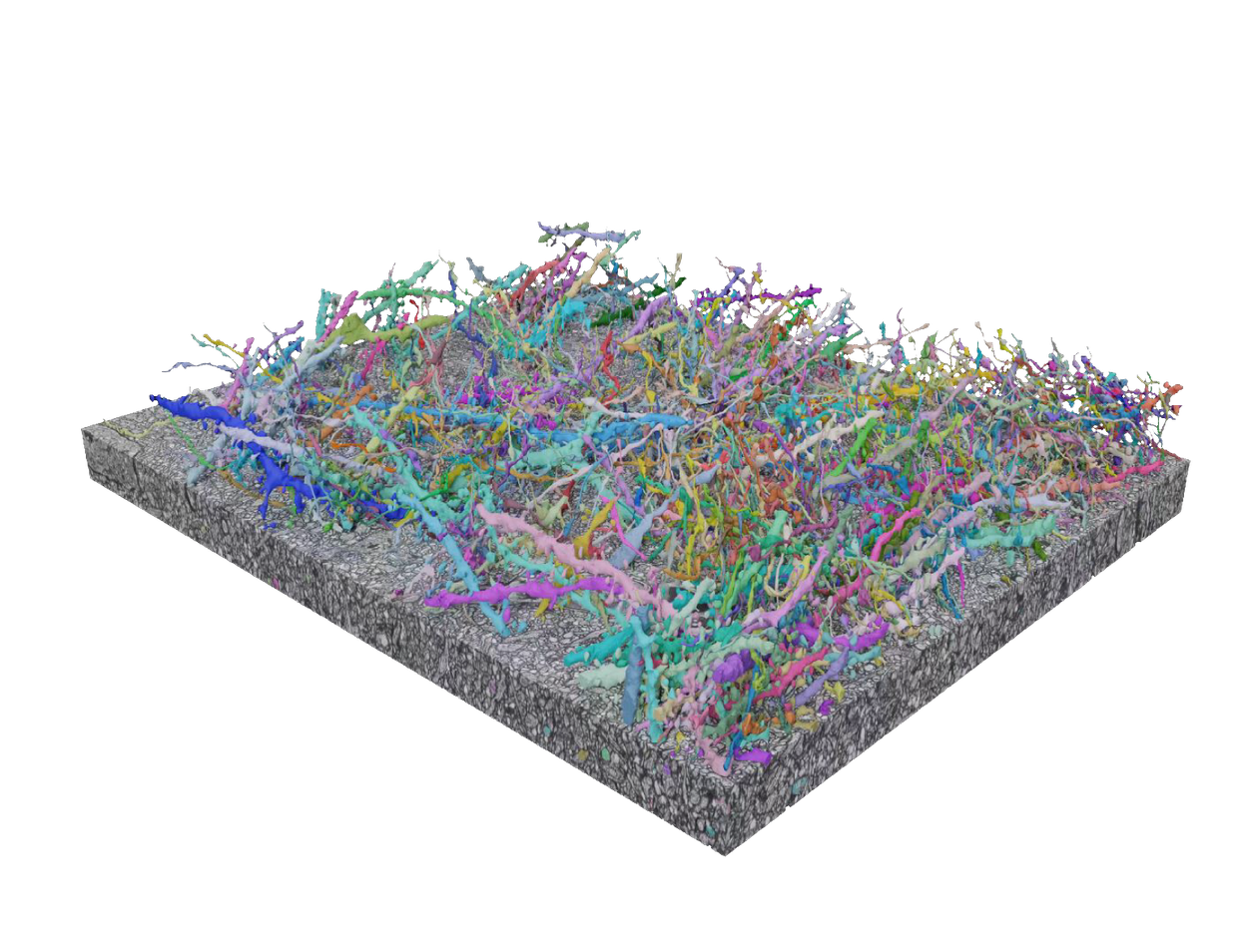 LICONN-вступительный финал