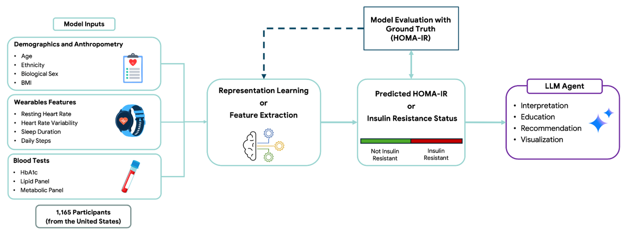 Прогнозирование инсулинорезистентности-5