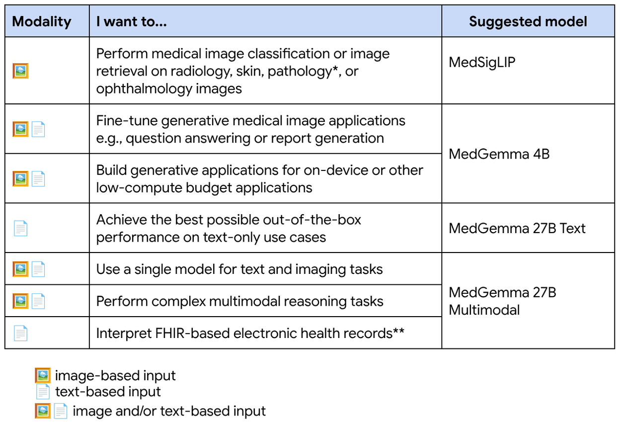 MedGemma-6-Summary