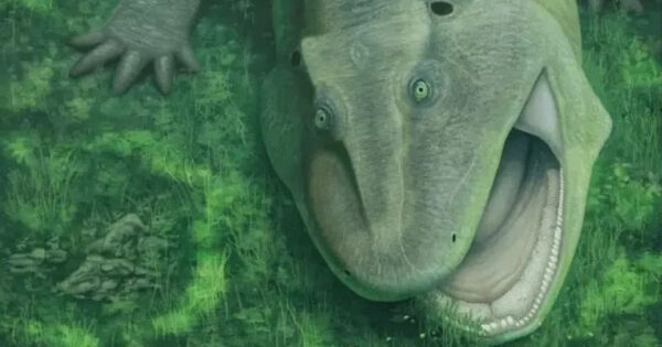 Динозавр с широко раскрытой пастью на зеленой траве.