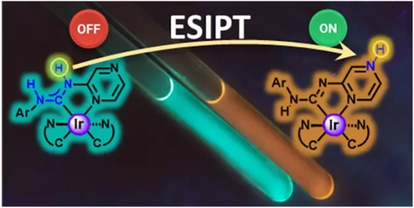 Химики создали соединения иридия для синтеза «умных» противоопухолевых препаратов