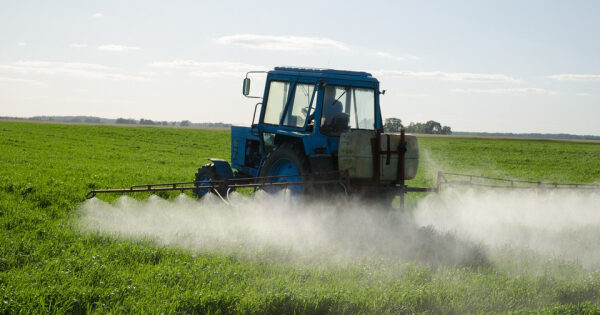 Трактор опрыскивает поле для защиты урожая от вредителей и болезней.