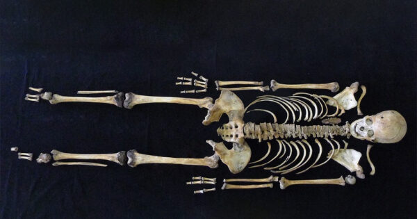 Скелет человека на черном фоне, вид сверху.