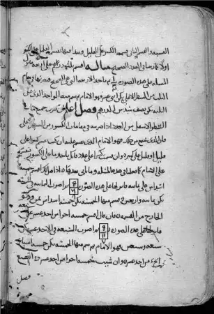 Вы когда-нибудь задумывались, откуда взялись наши математические символы? Вот их истории 2 A страница из книги Абу Бакра аль-Хасшара