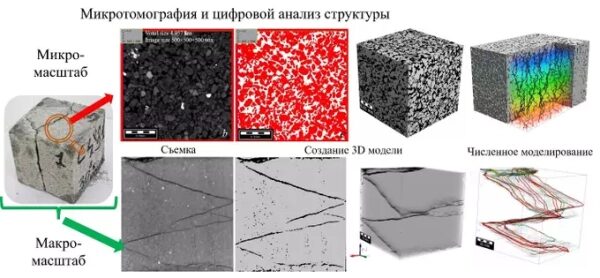 Микротомография и анализ структуры с моделированием: съемка, 3D-модели, макро и микро масштаб.