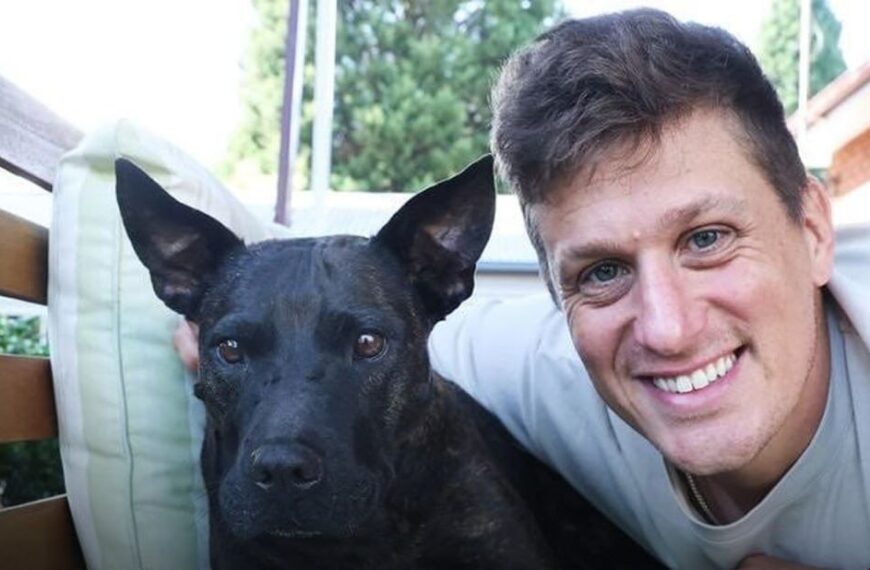 ИИ помог создать персональную вакцину от рака для собаки История…