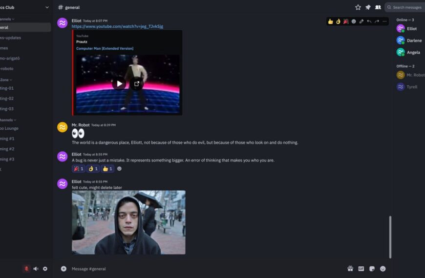 Скриншот чата в Discord с обменом сообщениями и видео о "Компьютерном человеке".