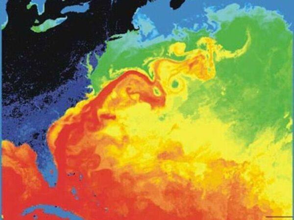 Спутниковое изображение Гольфстрима: разноцветные течения в Атлантическом океане.
