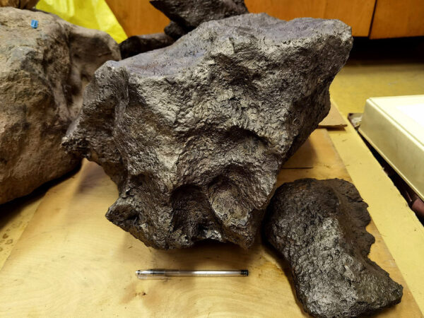 Крупный чёрный метеорит на столе рядом с ручкой для масштаба.