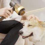 portativnyj-fen-hvsaio-2