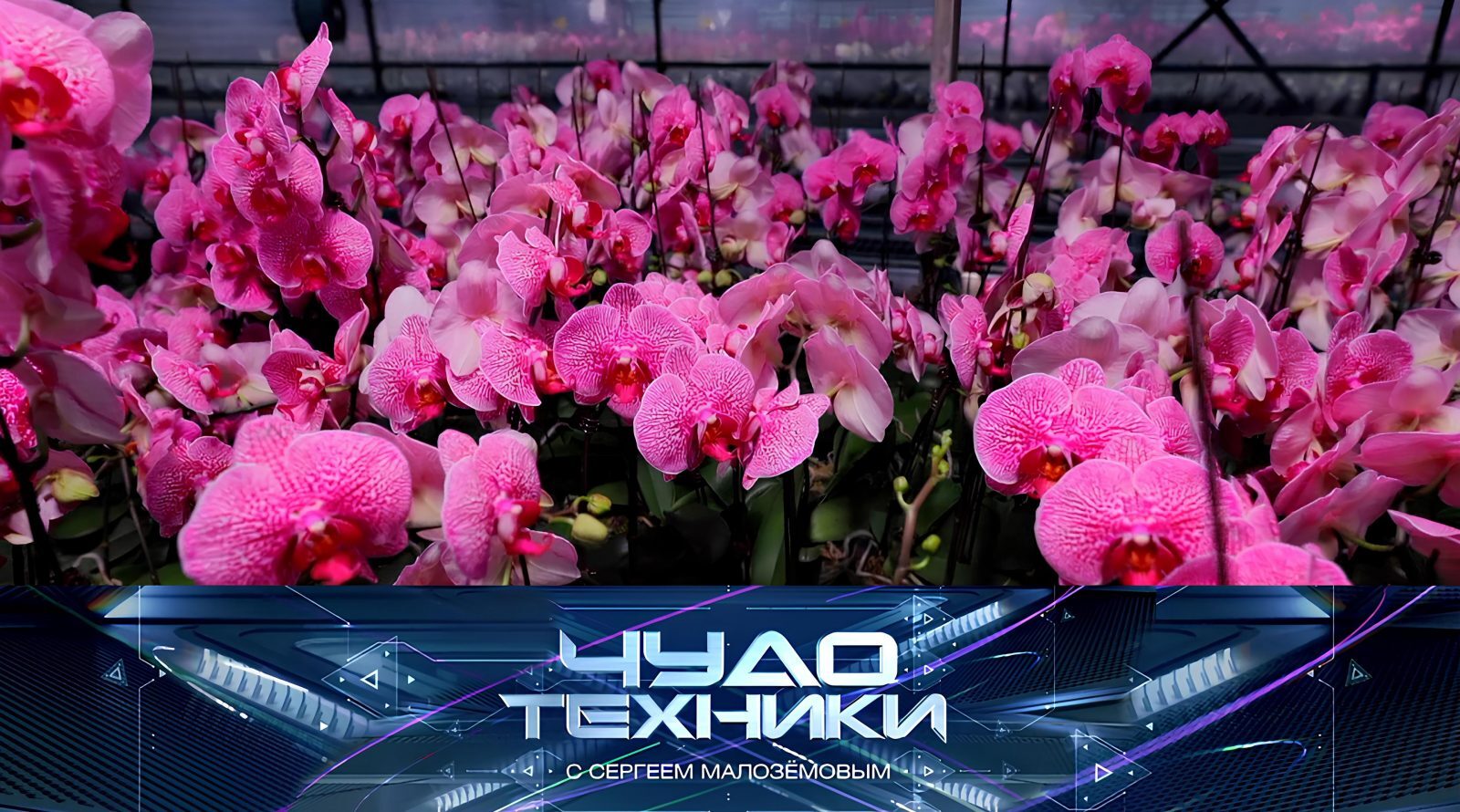 vypusk_chudo_tekhniki08032026 vypusk_chudo_tekhniki08032026