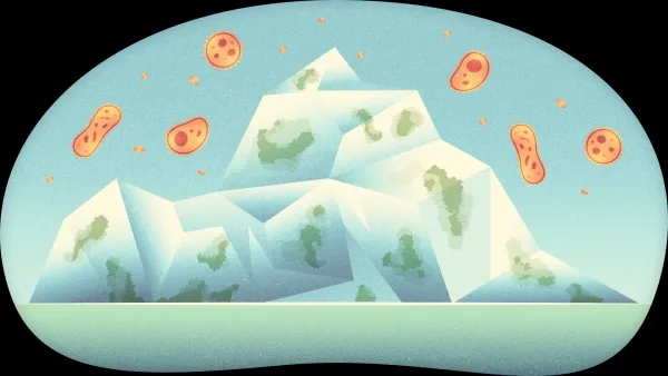 Лед с клетками внутри