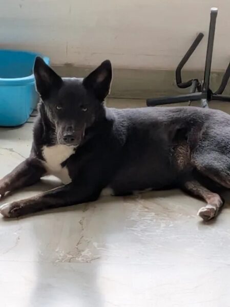 У Pixel 10a нет выступа камеры, и это здорово. 24 16a6097b9600d249d94e3f855a1b2ea0