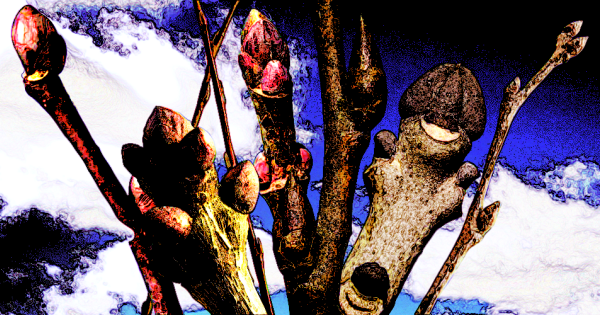 1bd7a33e829a2f421fbc81f576075053