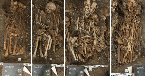 1d853f762ae1c957aba04b8bc940d50c