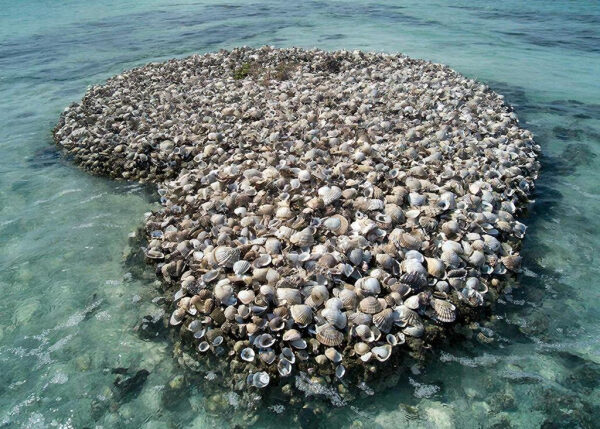 Остров из раковин: загадка Куласавани