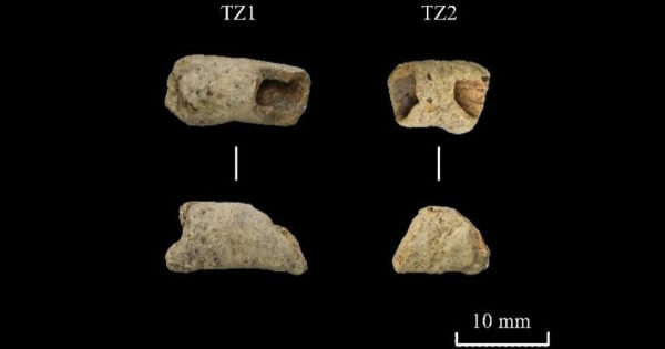 26cde3acc774361a34f48b4259ffb6bd