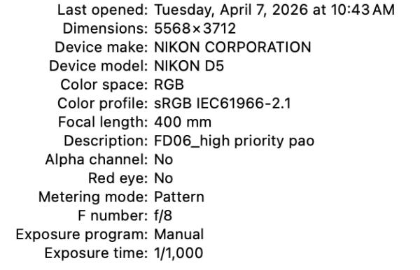 2ac6bcfe6bc623946a718d2dcec189c5