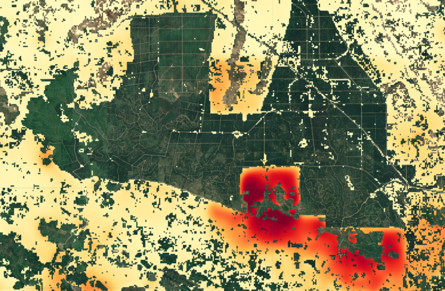 Прогнозирование будущего лесов с помощью ИИ: от подсчета&hellip;