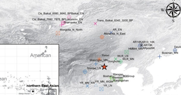 386ce3febc6eeb97248cf4e47dedcbaf