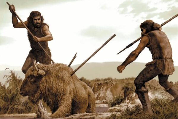 Почему ранние люди радикально изменили свой набор инструментов 200 000 лет назад 1 3dd68f013c416236c5443f8c01ee08a7