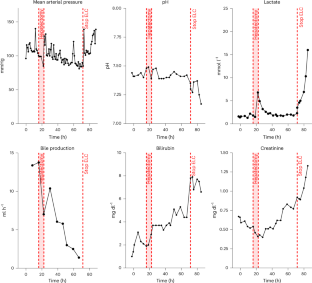 3e133f66548b79d134b3aae5b99de959