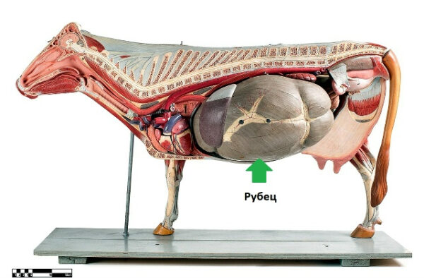 40bea638b38a69066cb056576fe30a06