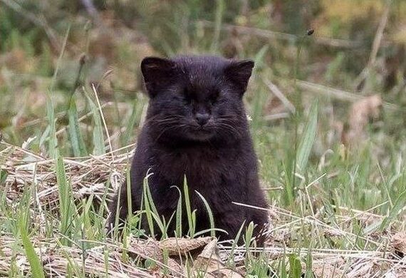 4230d7b568b3def7ba3e8ae4477ded1e