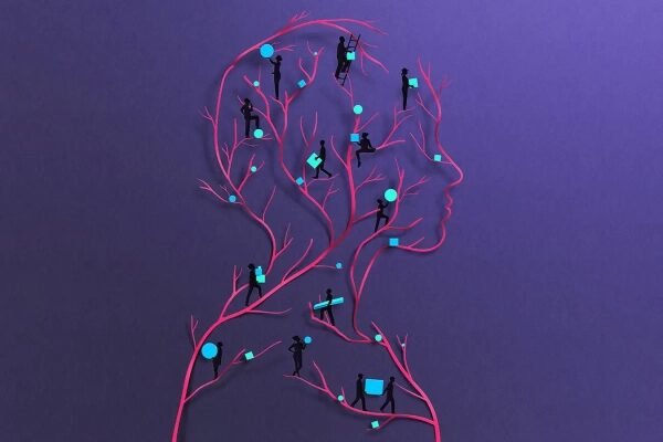 Новый подход к удалению отходов из мозга демонстрирует многообещающие результаты в лечении болезни Альцгеймера. 4 Чрезвычайное влияние лимфатической системы на наше здоровье.