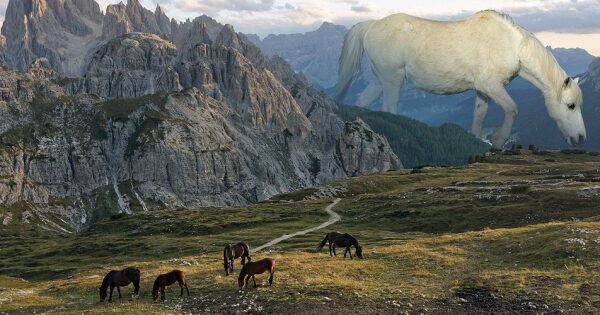 48b09ced975343742d71589691fc81d3