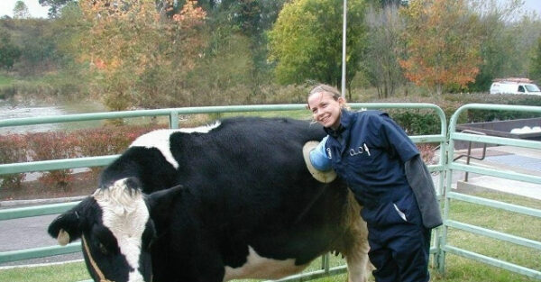 4bd5acd43ae54dabbeb24900985801c8