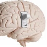 Мозг с рычагом переключения в положении "ON", символизирующий активацию идей.