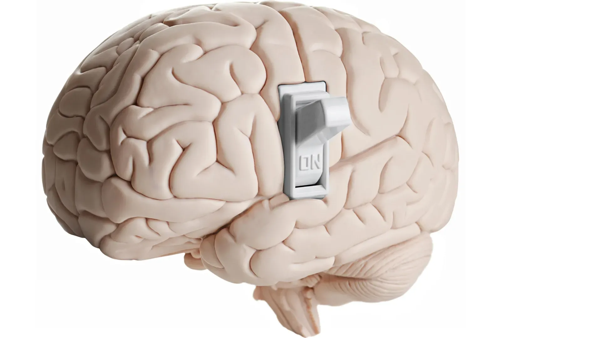 Мозг с рычагом переключения в положении "ON", символизирующий активацию идей.