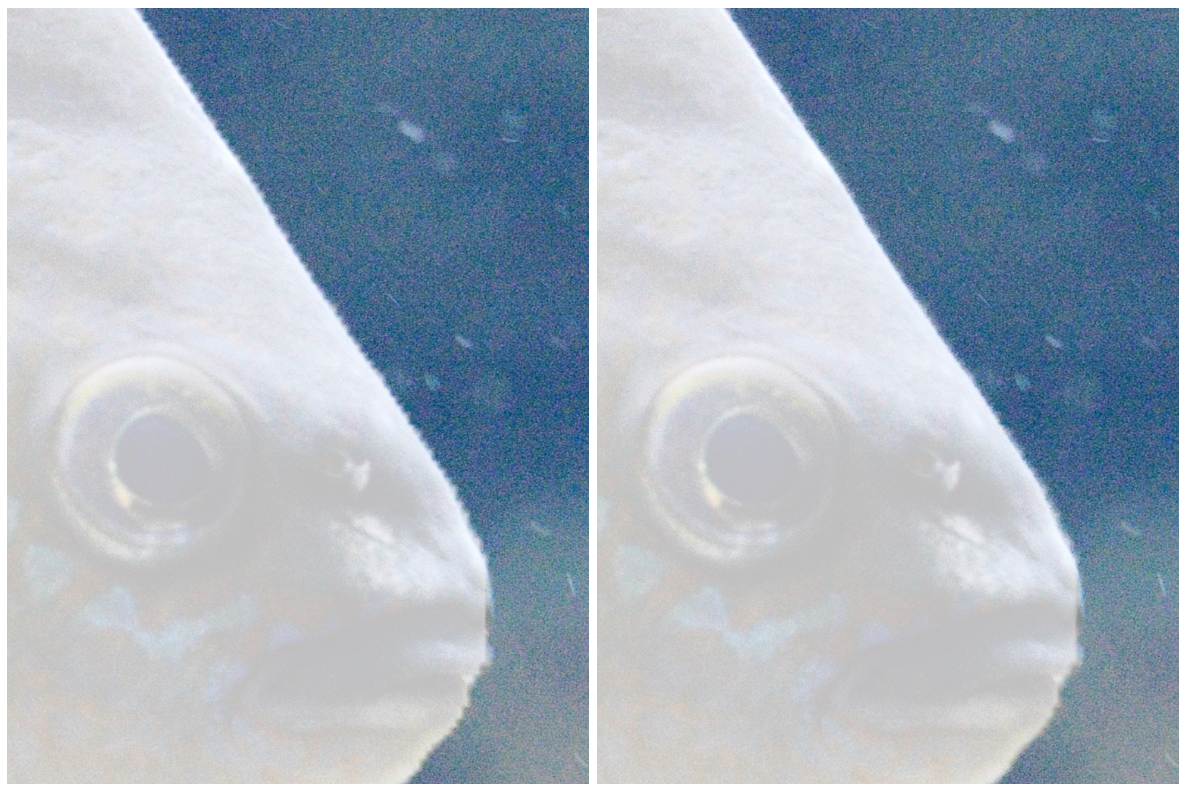 Представляем интерактивную сегментацию на устройстве в Snapseed. 5 Сравнение исходной маски интерактивного сегментатора и маски с увеличенным разрешением.