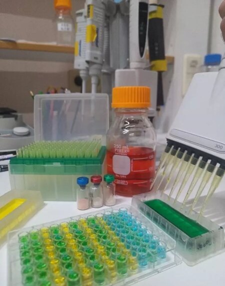 Лабораторное оборудование: пробирки, реагенты, пипетки в исследовательской лаборатории.