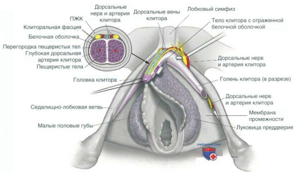 54a3c81c8ee095d7b74ad15d5fc5968d