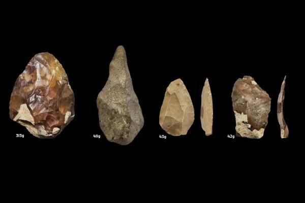 Почему ранние люди радикально изменили свой набор инструментов 200 000 лет назад 3 https://www.sciencedirect.com/science/article/pii/S0277379126000818?viaihub Распространенные классы тяжелых инструментов и основные легкие предметы (313 г. Ручное рубило (Ревадим), 411 г. Треугольный рубил (Убейдия), 43 г. Мустьерский наконечник (источник неизвестен), 42 г. Леваллуазский отщеп (пещера Табун). Институт археологии, Тель-Авивский университет.