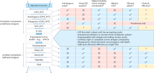 Клиническая разработка вакцин против рака 4 5b4dcadf27e16b498fda5842f4244423
