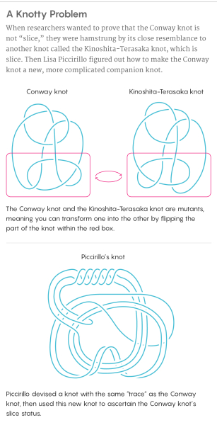 Информационная графика, иллюстрирующая узел Конвея, связанный с ним узел Киносита-Терасака и сложный сопутствующий узел, разработанный Лизой Пиччирилло, чтобы помочь определить статус узла Конвея как разрезанного узла.