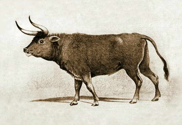 626fd4454a1f2cd5e38cabc4707fcc1a